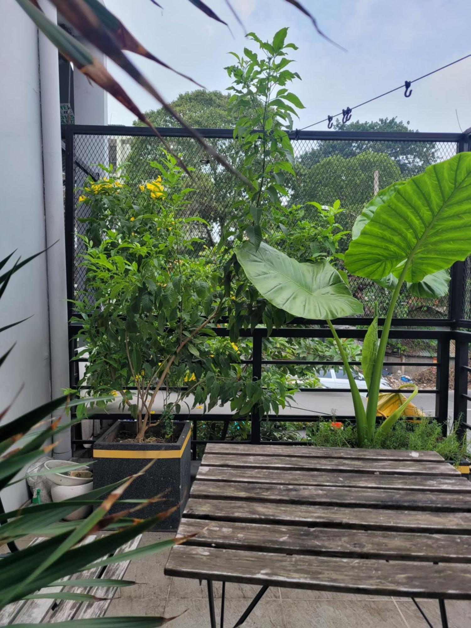 Agk House - Homestay - 406 Xo Viet Nghe Tinh, P25, Binh Thanh, Gan Nga 4 Hang Xanh 胡志明市 外观 照片